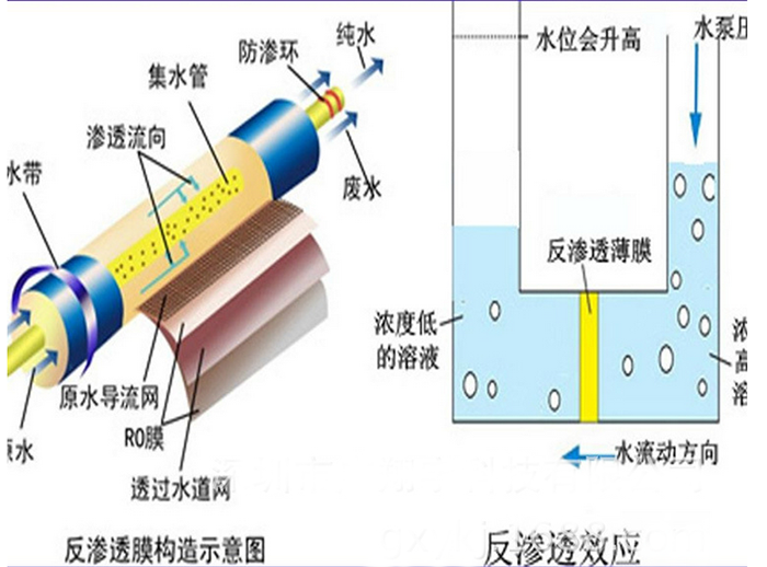 反渗透膜剖切原理